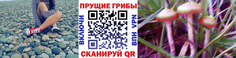 Псилоцибиновые грибы мухоморы  Окуловка 