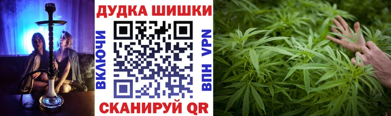 купить наркотики цена  кракен сайт  Бошки марихуана сатива  Окуловка 